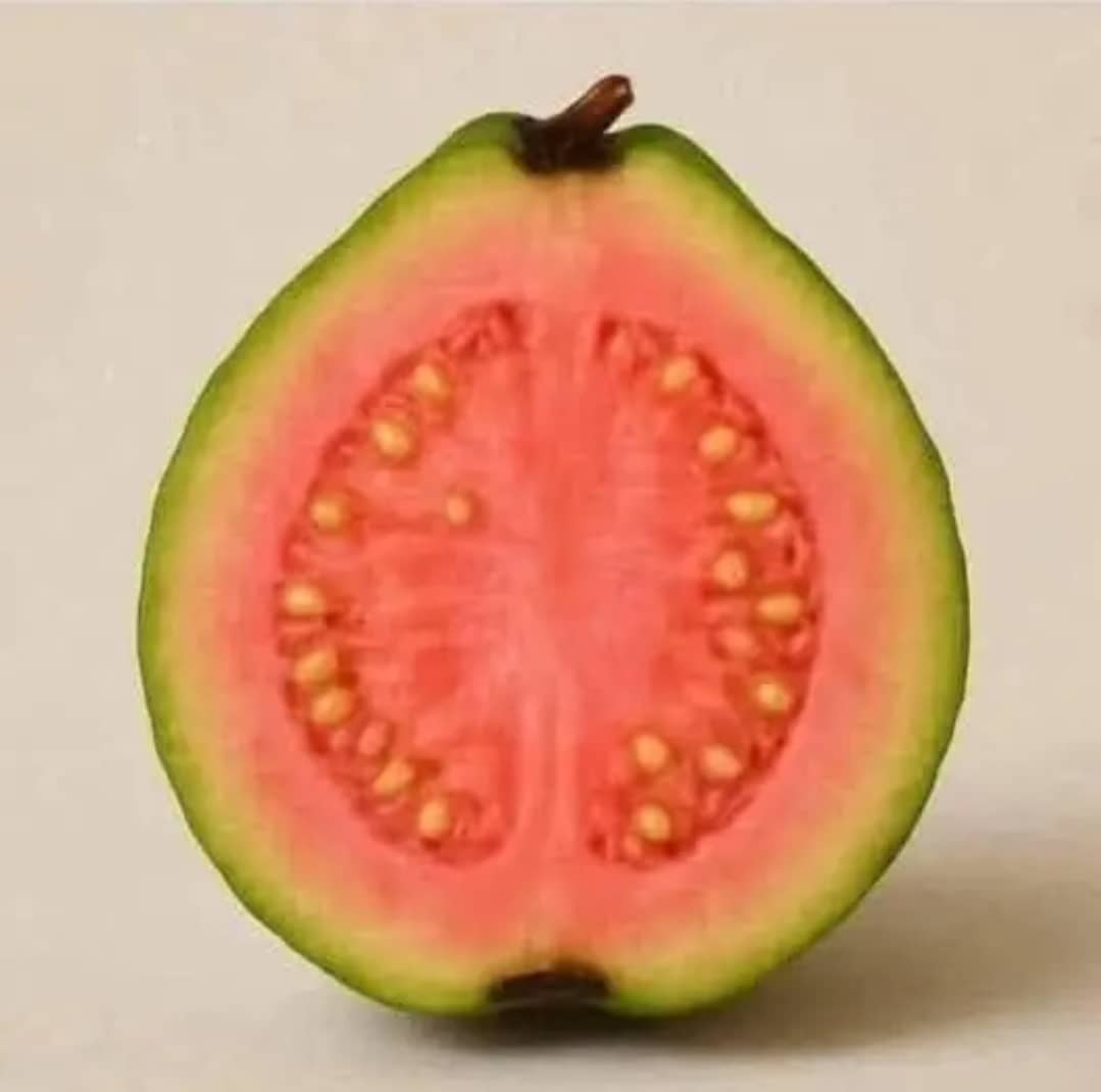 REVELAN que el té de h0ja de guayaba provoca in…Ver más