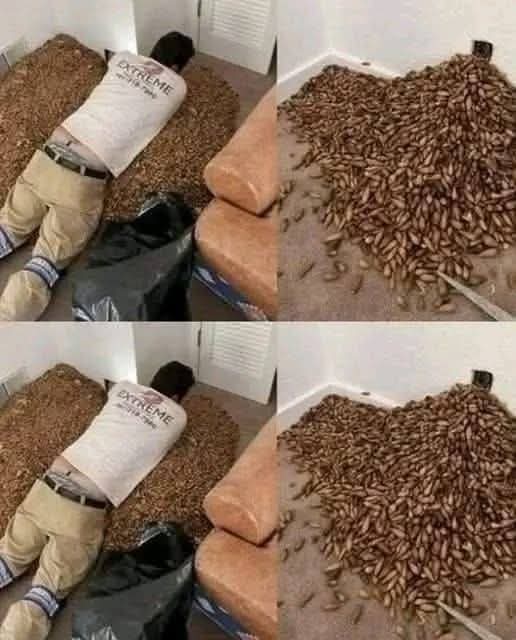 Un h0mbre not0 fuerte ol0r en su casa, tras abrir la pared, descu… Ver más